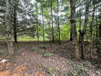 0 County Road 521, Anderson, AL 35610
