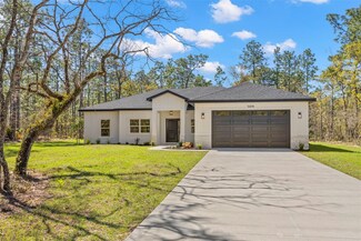 13376 Sooty Tern Ave, Brooksville, FL 34614