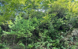 Lot 76 Fires Creek Cove Rd, Hayesville, NC 28904