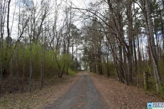 89 Calico Ln, Sawyerville, AL 36776