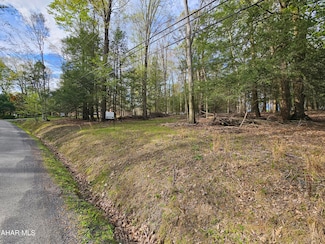 540 Troxell Spring Rd, Flinton, PA 16640