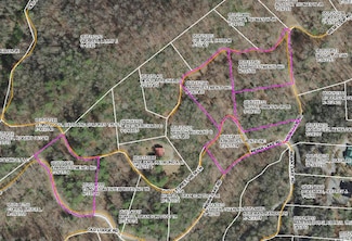 Lot 9 Indian Lake Rd, Topton, NC 28781