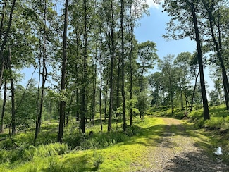 6C Turkey Hollow Rd, Sigel, PA 15860