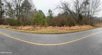 894 Swamp Rd, Pantego, NC 27860