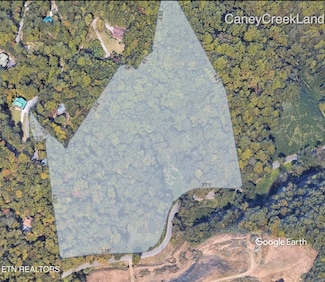 0 Caney Creek Rd Unit 1299589, Pigeon Forge, TN