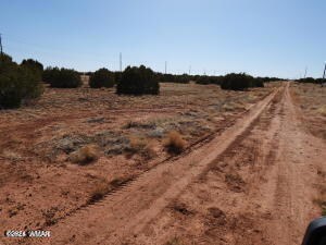 0 Richard 230b Dr Unit 253992, Snowflake, AZ 85937