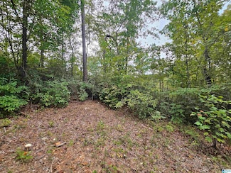 525 County Road 260, Clanton, AL 35046