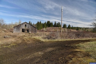 8700 Steel Bridge Rd, Sheridan, OR 97378