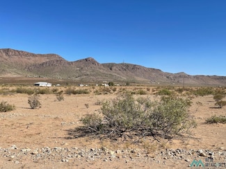 XXXX Tierra Rd SE, Deming, NM 88030