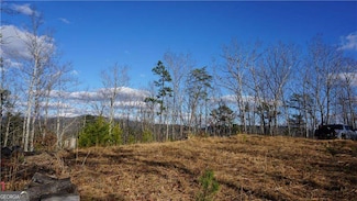 0 Muscadine Ln Unit 10532250, Chatsworth, GA 30705