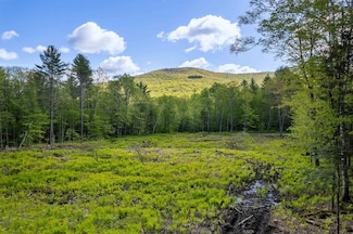 0 Mecawee Rd, Woodstock, VT 05091