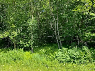 00 Lot #3 Sequoia Rd, Webb, NY 13472