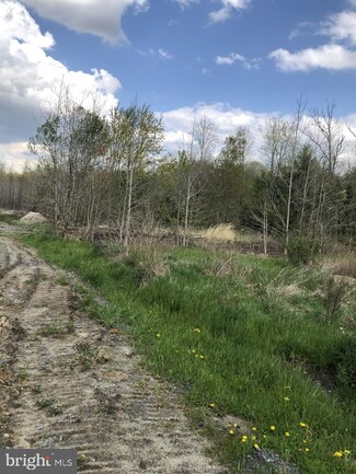 2.4 AC Road 183, Hartly, DE 19953