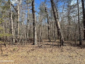 0 Cumberland Lakes Dr Unit 1291370, Monterey, TN 38574