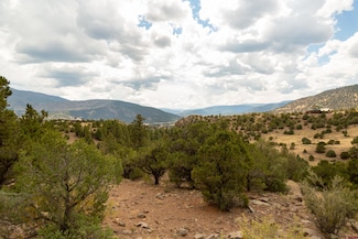 3869 Bear Creek Cir, South Fork, CO 81154