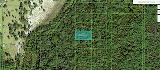 0 Commonwealth Ave N Unit MFRO6264133, Polk City, FL 33868