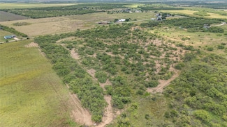 TBD 17 5 Acres Fm 2131, Coleman, TX 76834