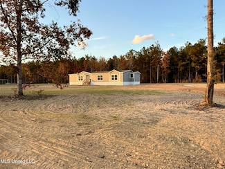 2037 Ceasar Trail, Bogue Chitto, MS 39629