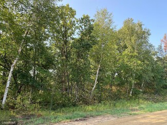 TBD (L8,B2) Goldfinch Ln SW, Bemidji, MN 56601