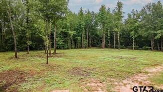 Lot 49 Private Road 7011, Frankston, TX 75763