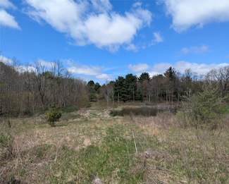 1569 Oakdale Rd, Johnson City, NY 13790