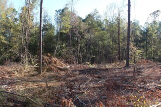 Parcel 9 Old Montpelier Rd, Cedarbluff, MS 39741