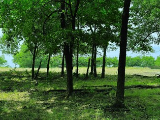 01 Rose Hill Rd, Whitewright, TX 75491