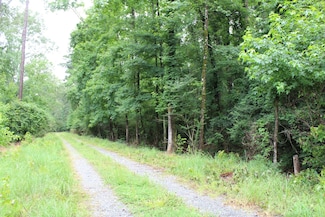0 Burks Ln, Cotton Valley, LA 71006