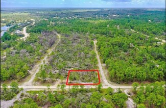 527 Deep River Ct, Lake Placid, FL 33852