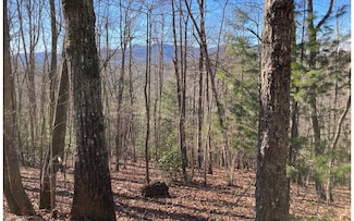 31 High Ridge Rd, Murphy, NC 28906