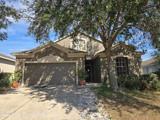 8733 Southern Charm Cir, Brooksville, FL 34613
