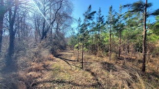213ac Level Run Rd, Long Island, VA 24569