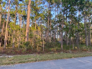 23 Lexington Rd, Boiling Spring Lakes, NC 28461