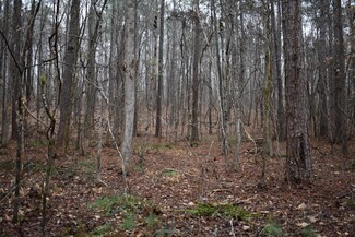 Tract 2A Fishburne Rd, Shiloh, GA 31826
