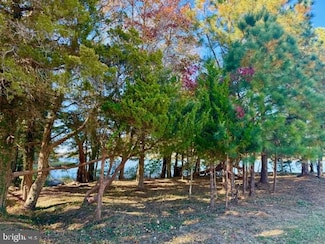 11429 Maid at Arms Ln, Berlin, MD 21811