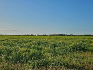190 acres County Highway 2 A, Defuniak Springs, FL 32433