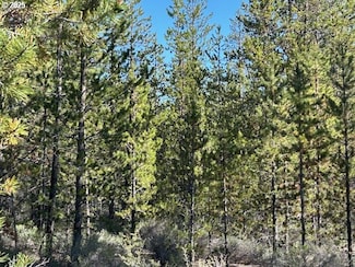 0 Forest Service Rd Unit 665029106, Gilchrist, OR 97737