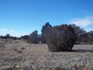 514 S Hemlock Unit 283,284, Williams, AZ 86046