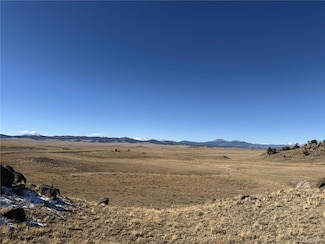 2665 Caddo Rd Unit 3284, Hartsel, CO 80449