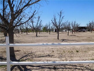 174 Jeff Jones Rd, Clint, TX 79836