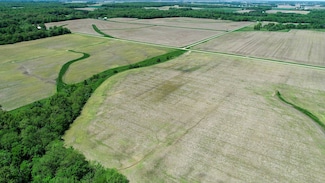 SE Corner of Deer Farm Ln and Clear Creek Intersect, Olney, IL 62450