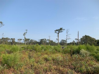 0 W Side of La-Hwy 550 Unit 20567165, Spearsville, LA 71277