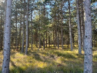 16 15th Ave, Nekoosa, WI 54457