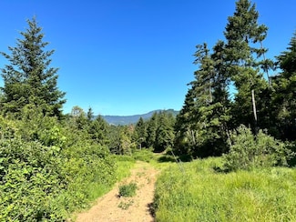 780 Tunnel Rd, Glendale, OR 97442