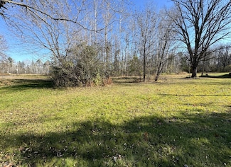 TBD 302xx 480th St, Palisade, MN 56469