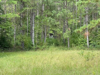 0 Sasser Rd, Kellyton, AL 35089