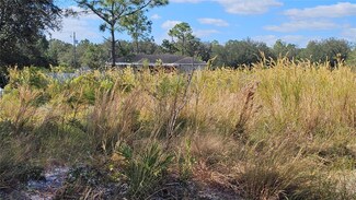 1507 Fifth Ave, Lehigh Acres, FL 33972