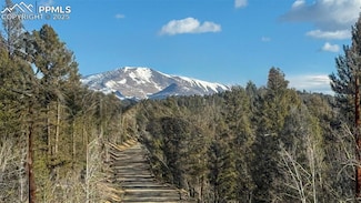 3132 Middle Fork Vista, Fairplay, CO 80440