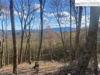 G56 Sky Camp Rd, Banner Elk, NC 28604