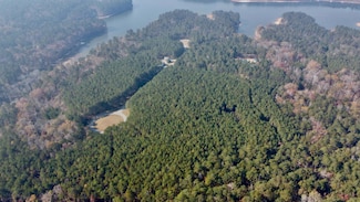 1272 Sunset Cove, Tignall, GA 30668